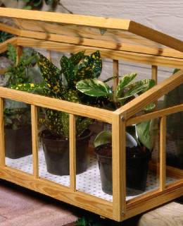 Garden Pots and Containers