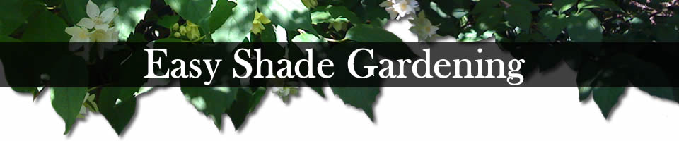 Easy Shade Gardening